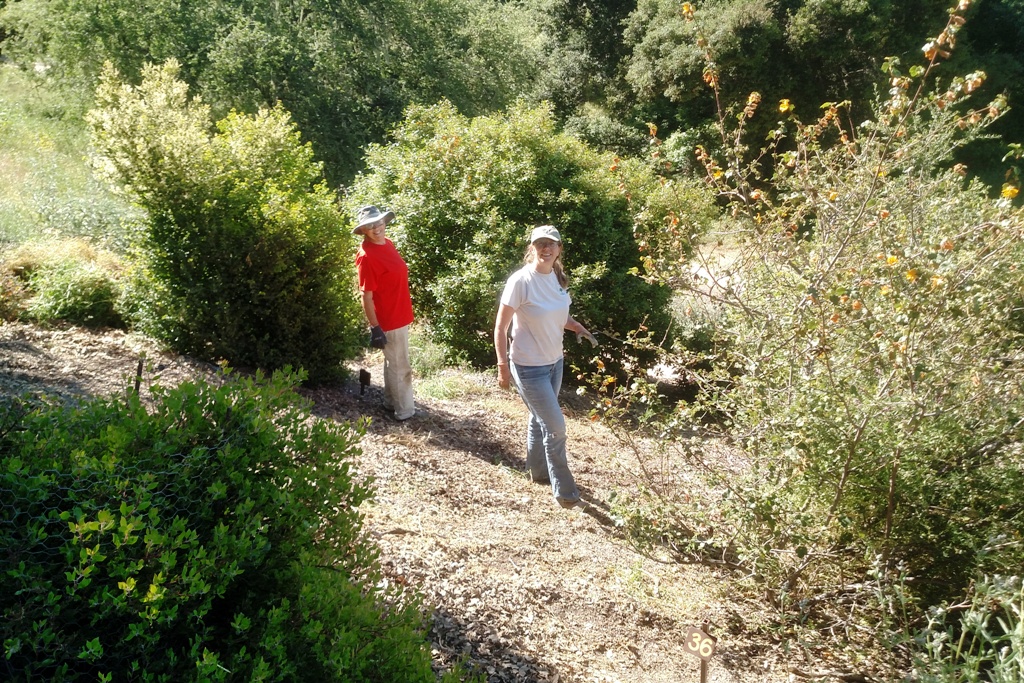 Judy and Meg clearing the garden.